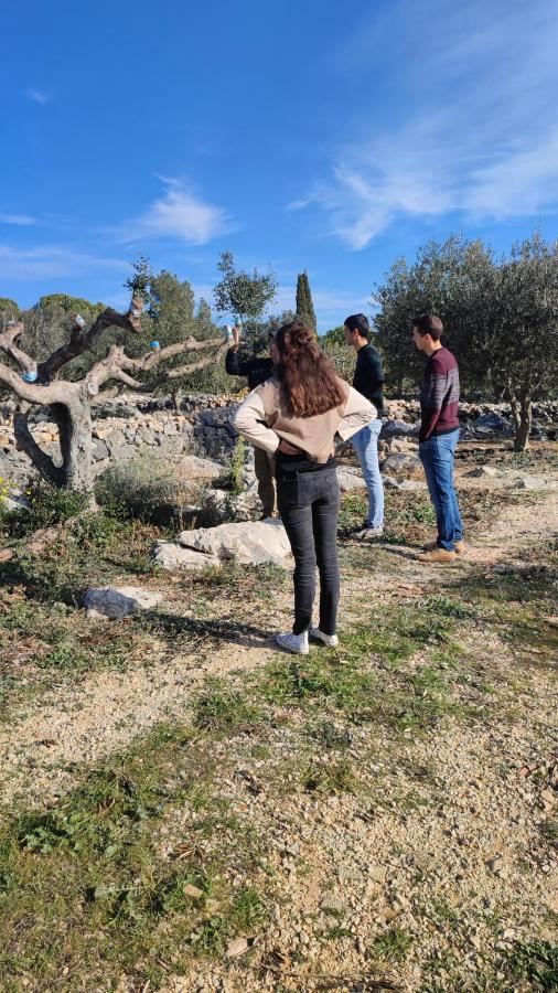 Avinyonet de Puigventós Can Barraca מראה חיצוני תמונה